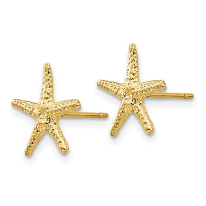 14K Gelbgold Seestern Ohrstecker