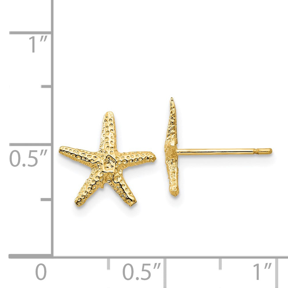 14K Gelbgold Seestern Ohrstecker