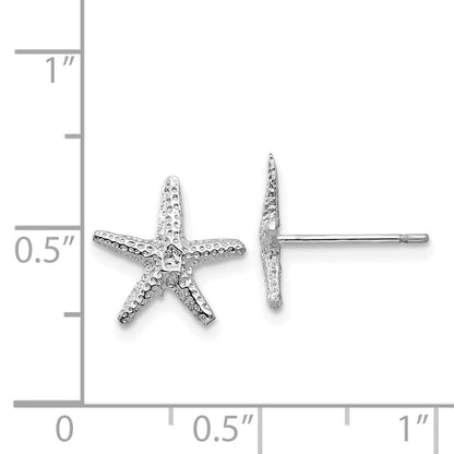 14K Weißgold Seestern Ohrstecker