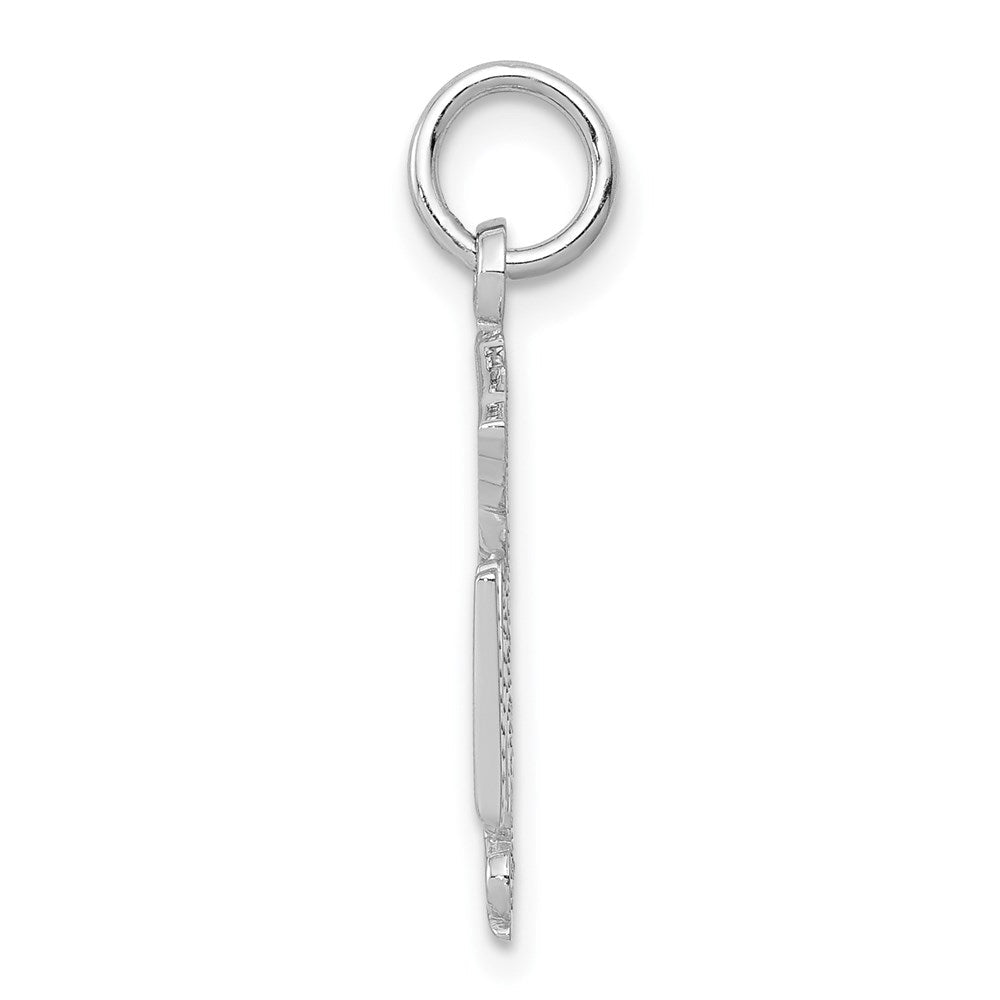 14K Weißgold Rn Registered Krankenschwester Charm