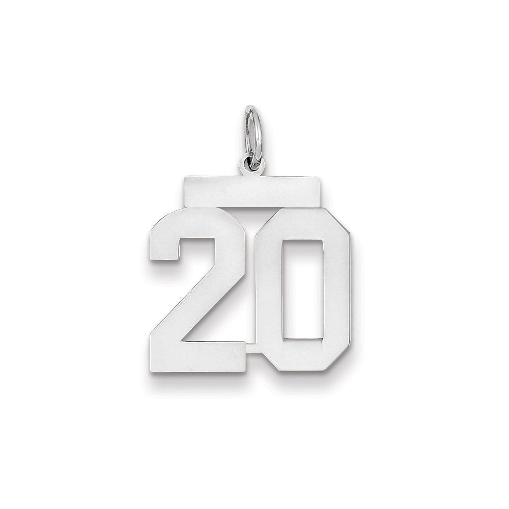 14K Weißgold WG mittelgroßer polierter Zahl-20-Charm