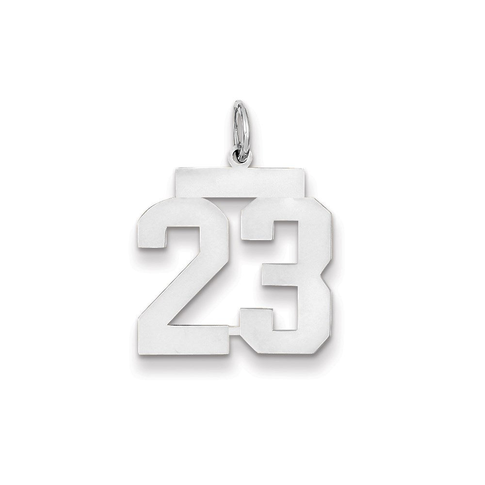 14K Weißgold WG mittelgroßer polierter Zahl-23-Charm