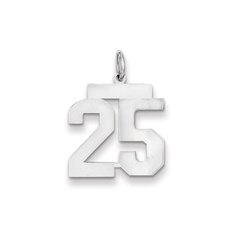 14K Weißgold WG mittelgroßer polierter Zahl-25-Charm