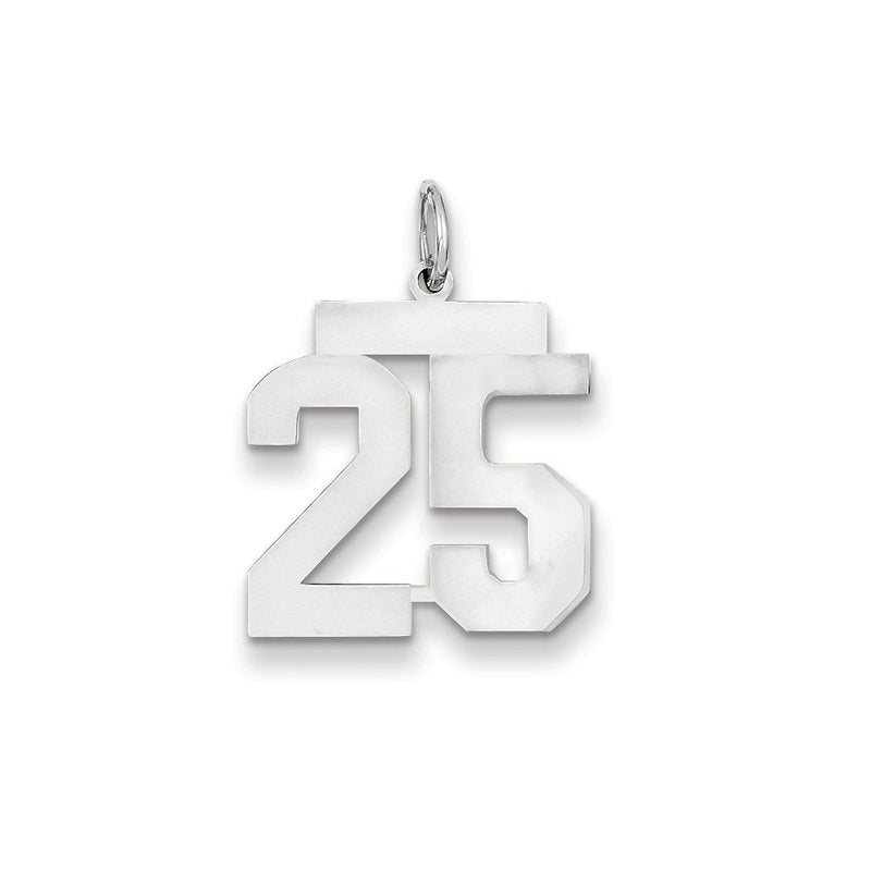 14K Weißgold WG mittelgroßer polierter Zahl-25-Charm