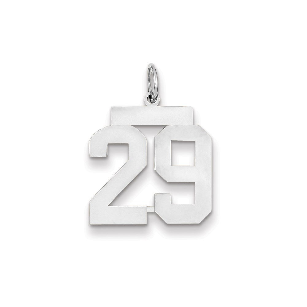 14K Weißgold WG mittelgroßer polierter Zahl-29-Charm
