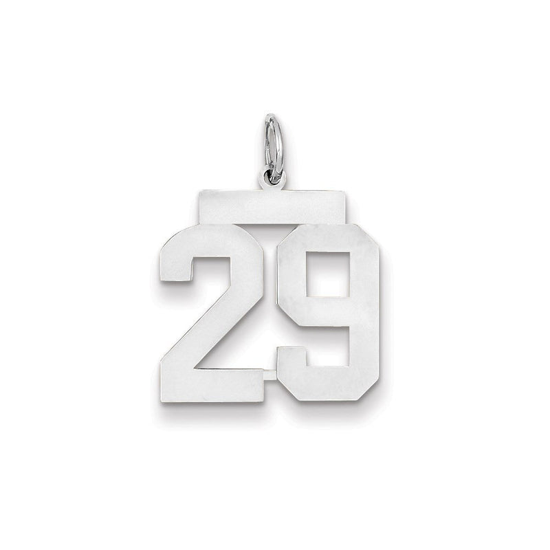 14K Weißgold WG mittelgroßer polierter Zahl-29-Charm