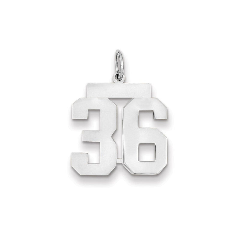 14K Weißgold WG mittelgroßer polierter Zahl-36-Charm