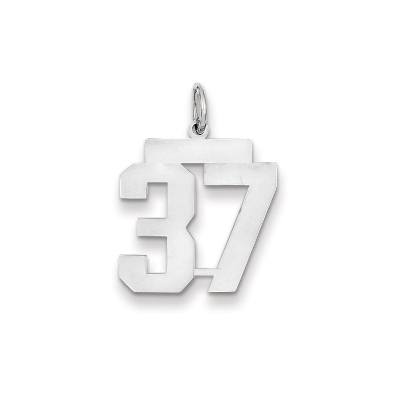 14K Weißgold WG mittelgroßer polierter Zahl-37-Charm