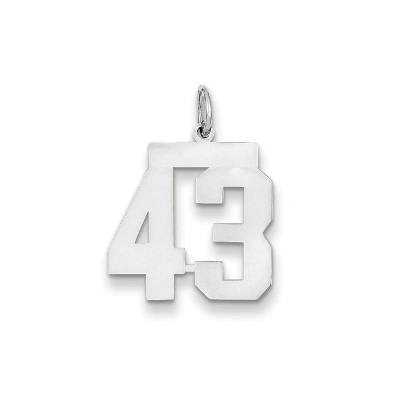 14K Weißgold WG mittelgroßer polierter Zahl-43-Charm