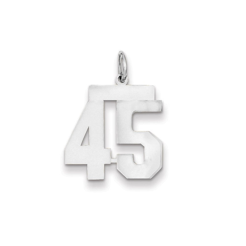 14K Weißgold WG mittelgroßer polierter Charm Zahl 45