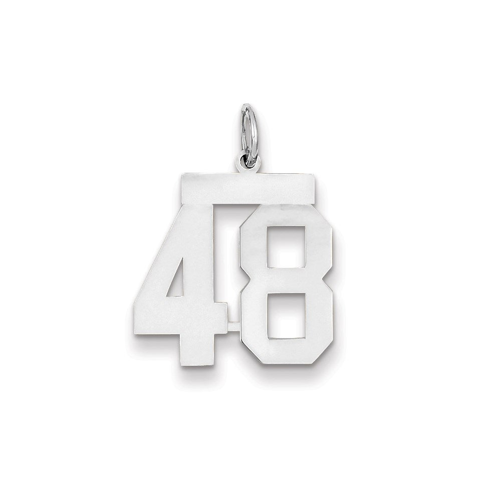 14K Weißgold WG mittelgroßer polierter Charm Nummer 48