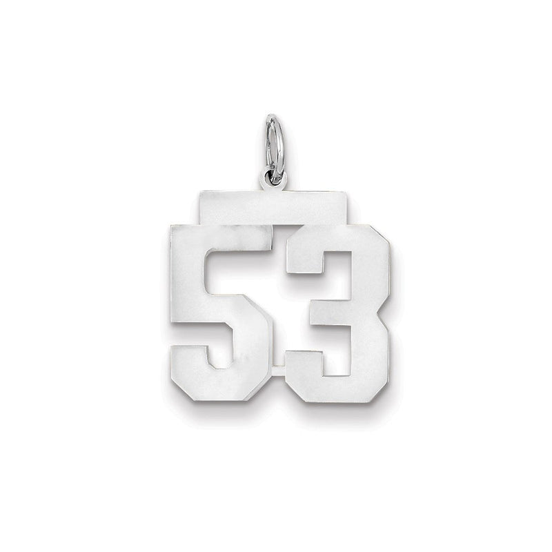 14K Weißgold WG mittelgroßer polierter Zahl-53-Charm