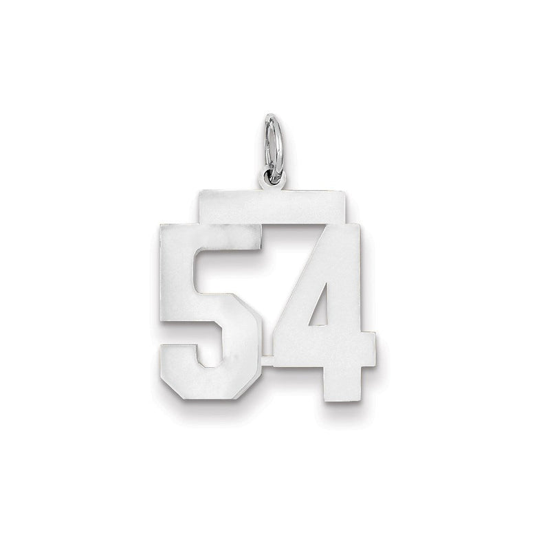 585 Weißgold WG mittelgroßer polierter Zahl-54-Charm