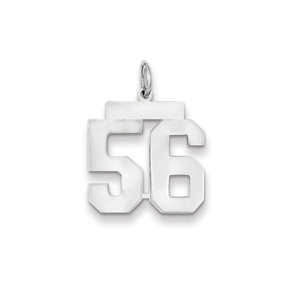 14K Weißgold WG mittelgroßer polierter Zahl-56-Charm