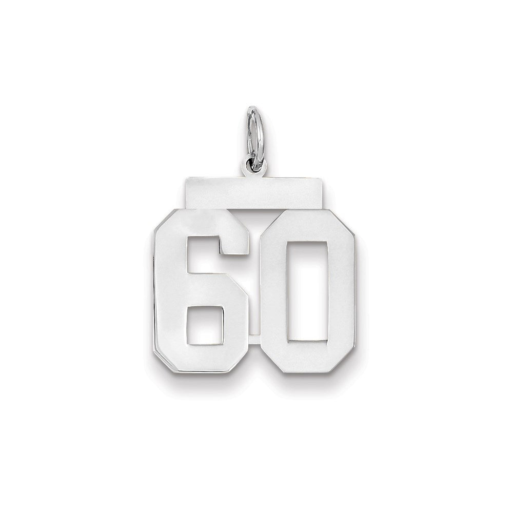 14K Weißgold WG mittelgroßer polierter Zahl-60-Charm