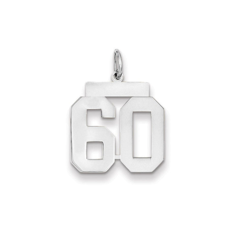 14K Weißgold WG mittelgroßer polierter Zahl-60-Charm