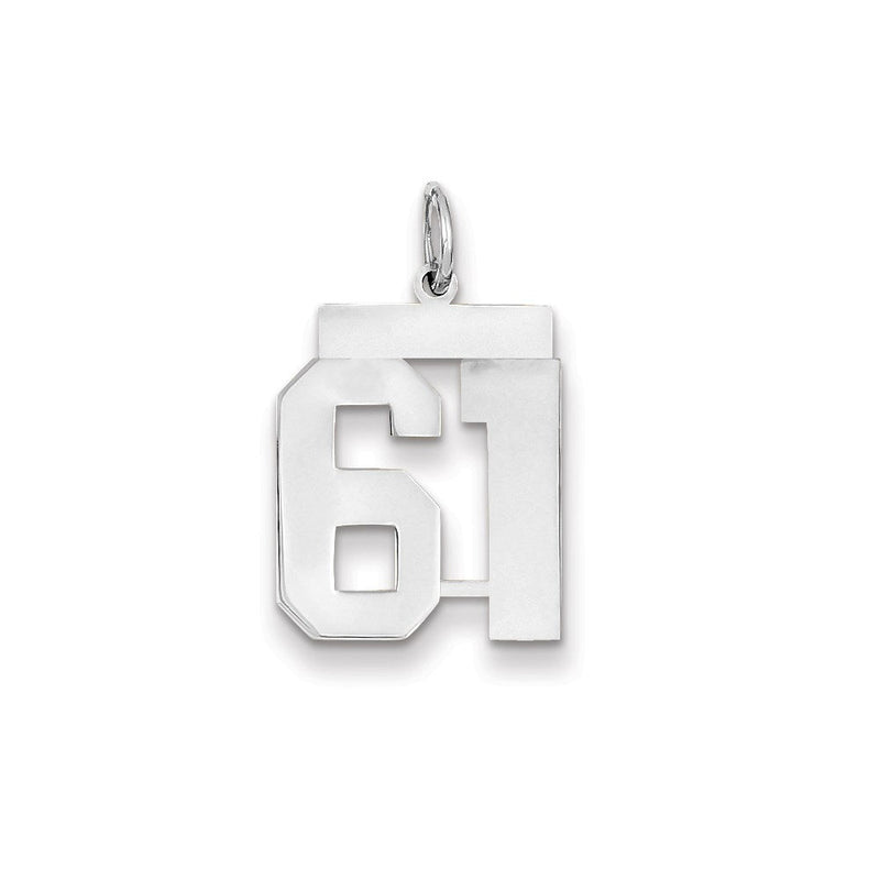 14K Weißgold WG mittelgroßer polierter Zahl-61-Charm