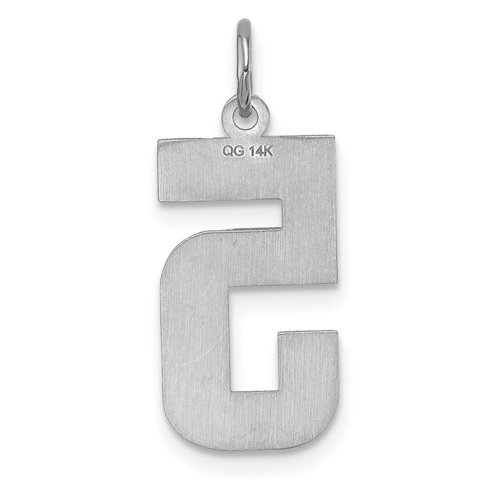 14K Weißgold großer gebürsteter, diamantgeschliffener Zahl-5-Charm