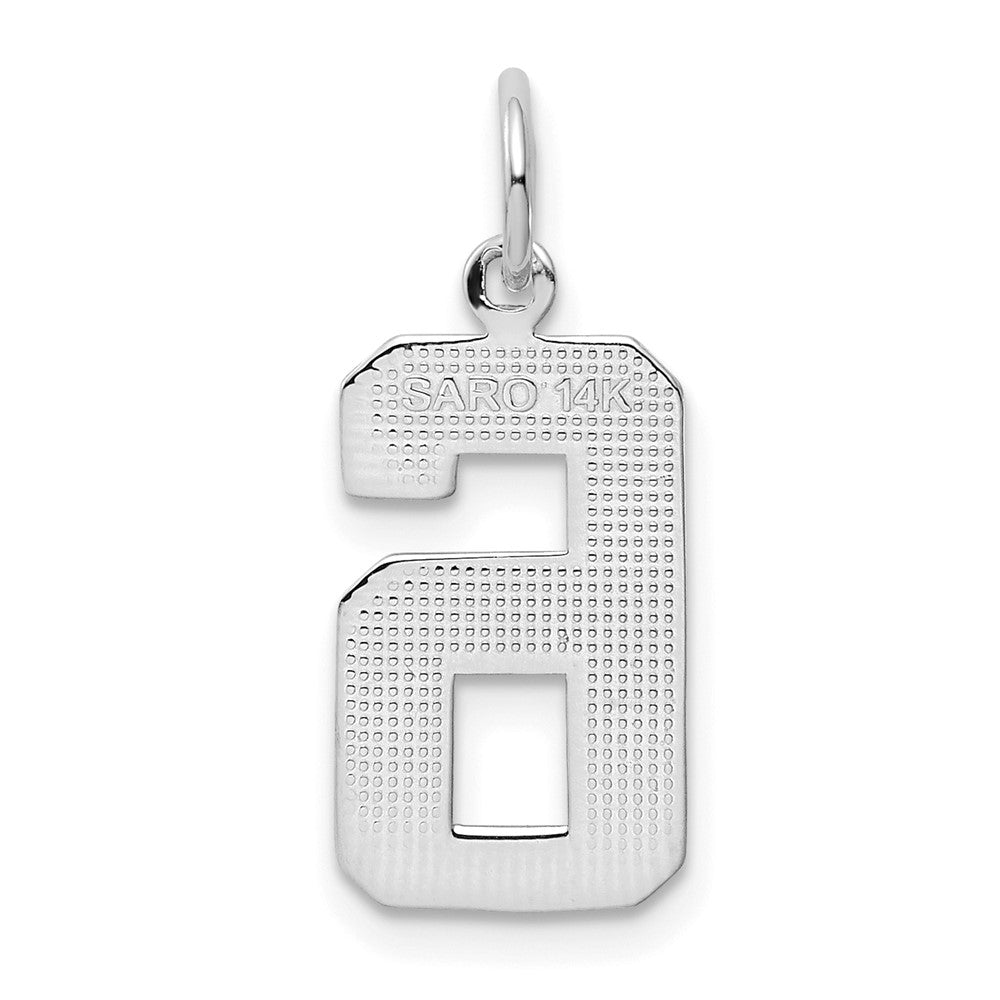 14K Weißgold mittelgroßer polierter Zahl-6-Charm