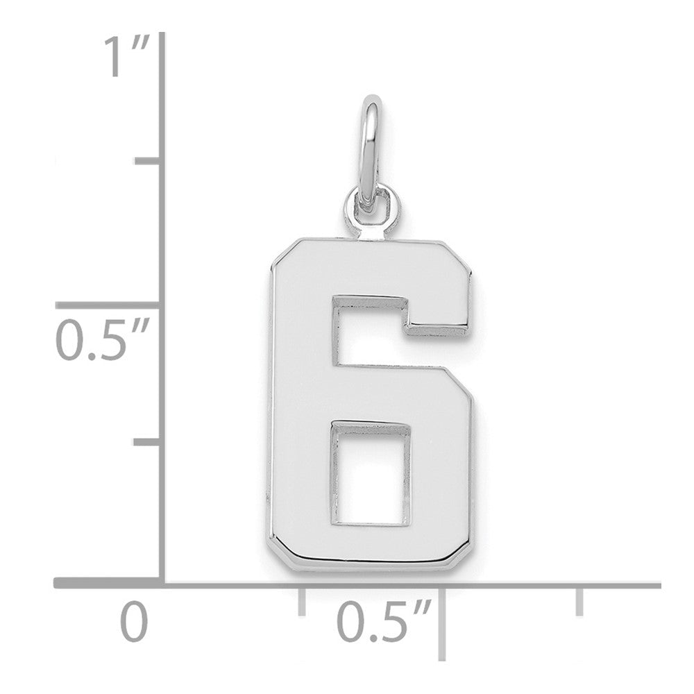 14K Weißgold mittelgroßer polierter Zahl-6-Charm