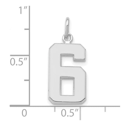 14K Weißgold mittelgroßer polierter Zahl-6-Charm