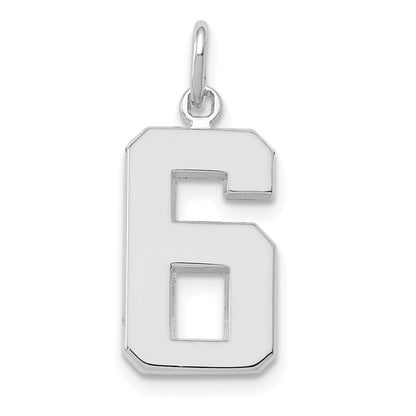 14K Weißgold mittelgroßer polierter Zahl-6-Charm