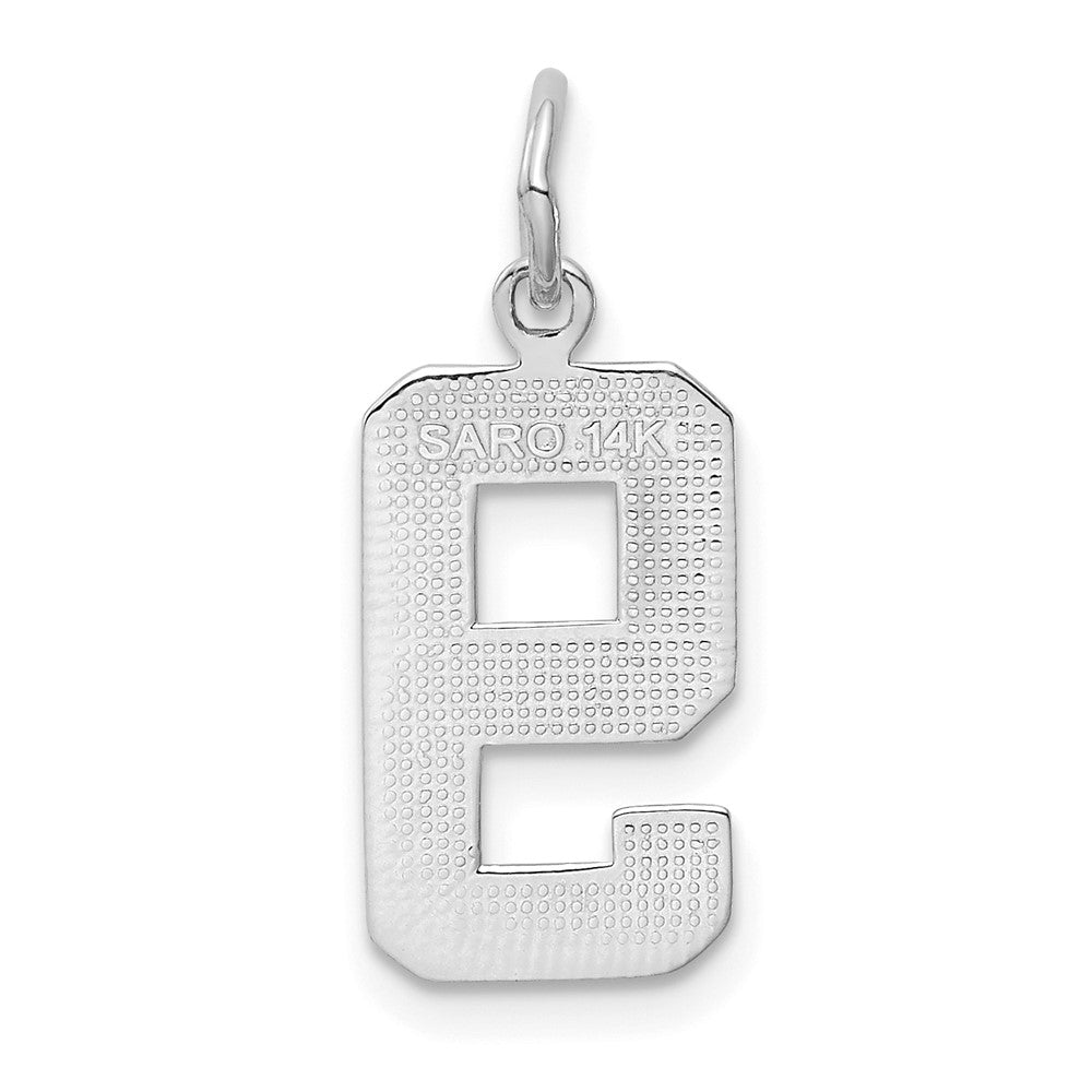 585 Weißgold Medium Polierter Zahl-9-Charm
