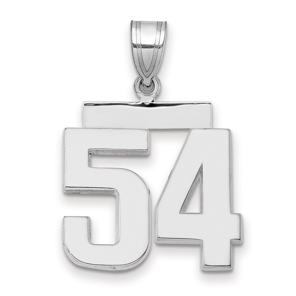 14K Weißgold Medium polierter Zahl-54-Charm