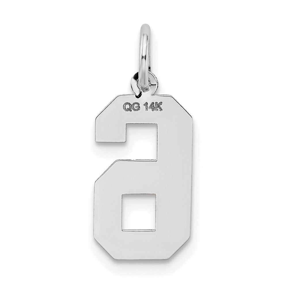 14K Weißgold 14kw Mittel Satiniert Zahl 6 Charm