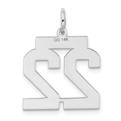 14K Weißgold Medium Satin Zahl 22 Charm