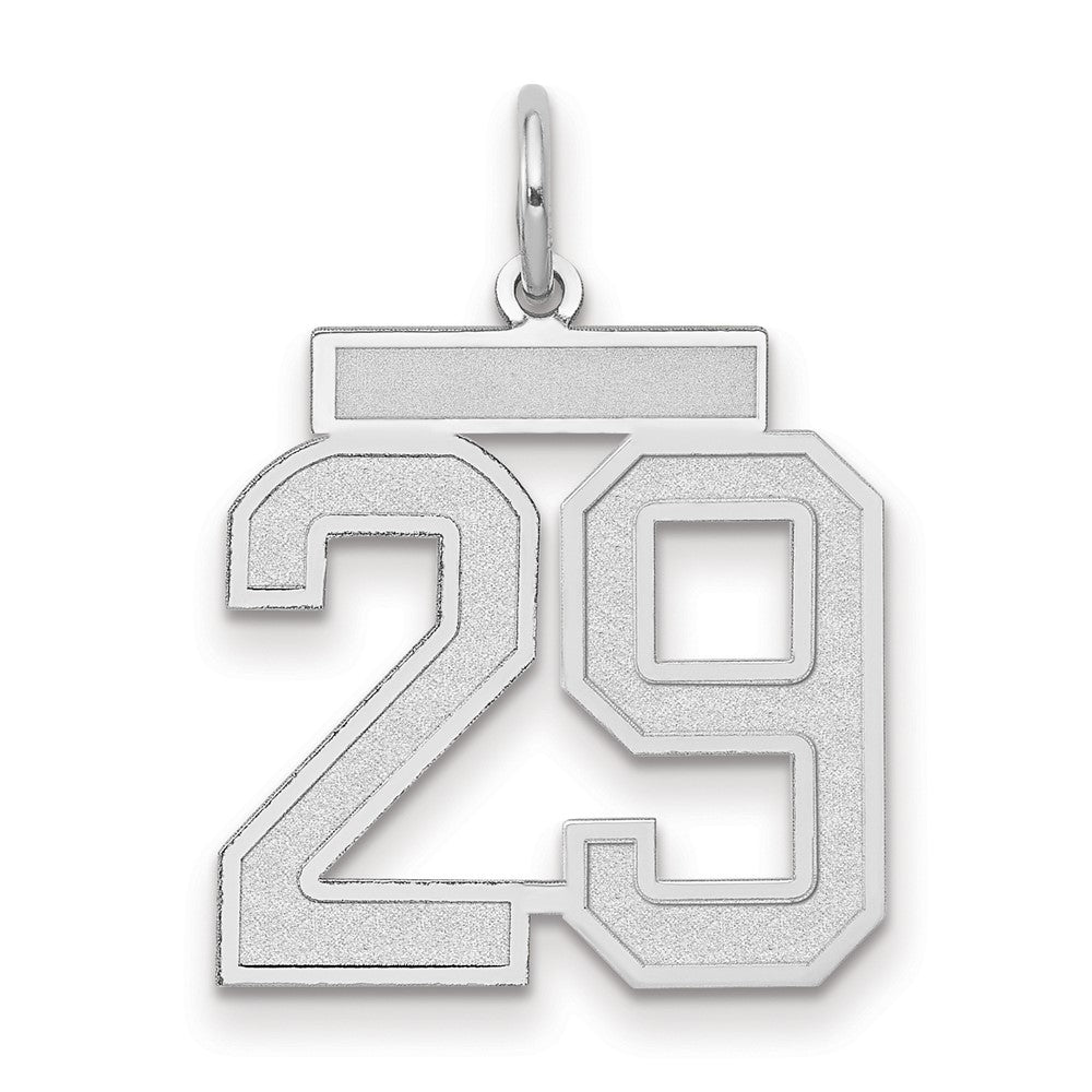 14K Weißgold Medium Satin Zahl 29 Charm