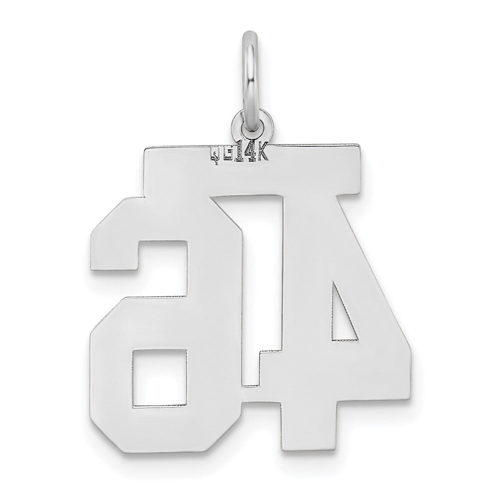 14K Weißgold Medium Satin Zahl 46 Charm