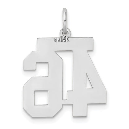 14K Weißgold Medium Satin Zahl 46 Charm
