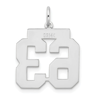 14K Weißgold Medium Satin Zahl 63 Charm