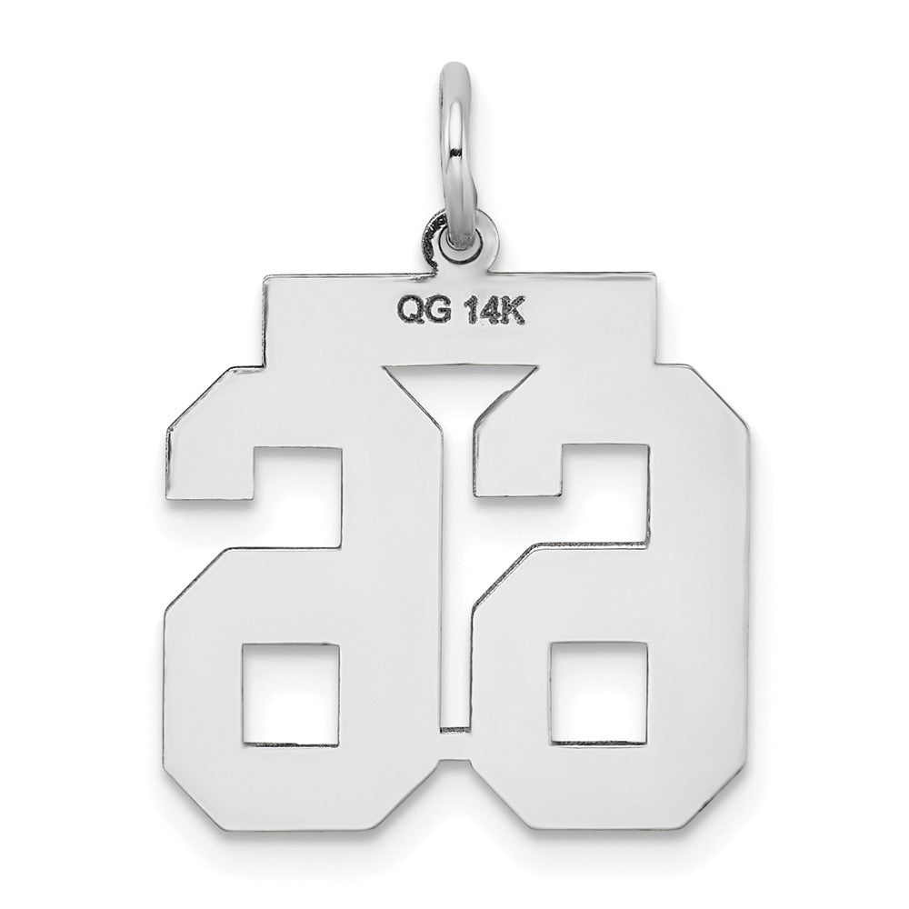 14K Weißgold Medium Satin Zahl 66 Charm
