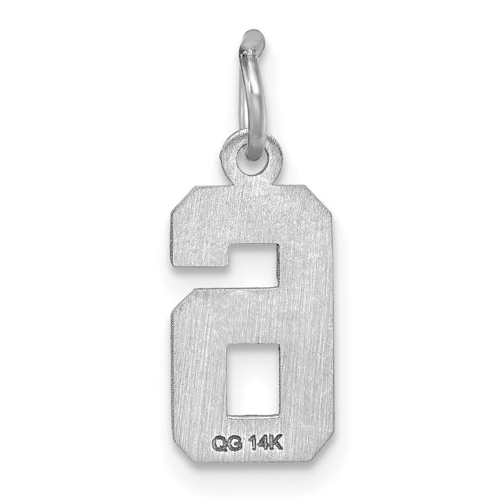 14K Weißgold 14kw Klein Gebürstet Diamantiert Zahl 6 Charm