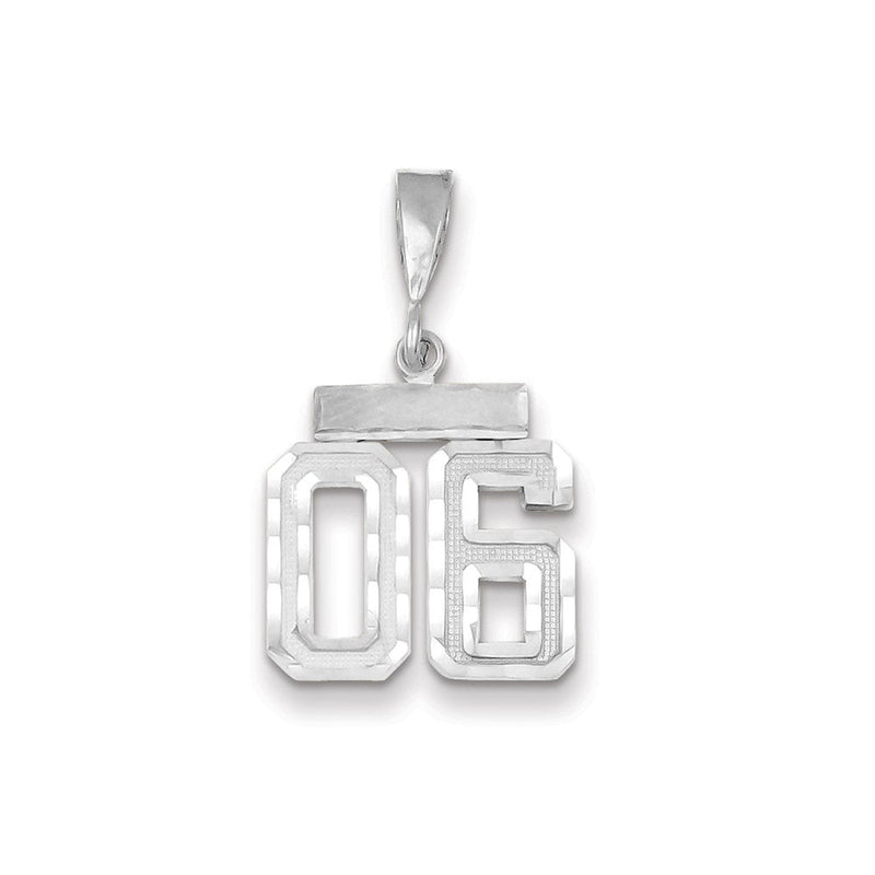 14k Weißgold Kleiner Diamantgeschliffener Zahl-6-Charm