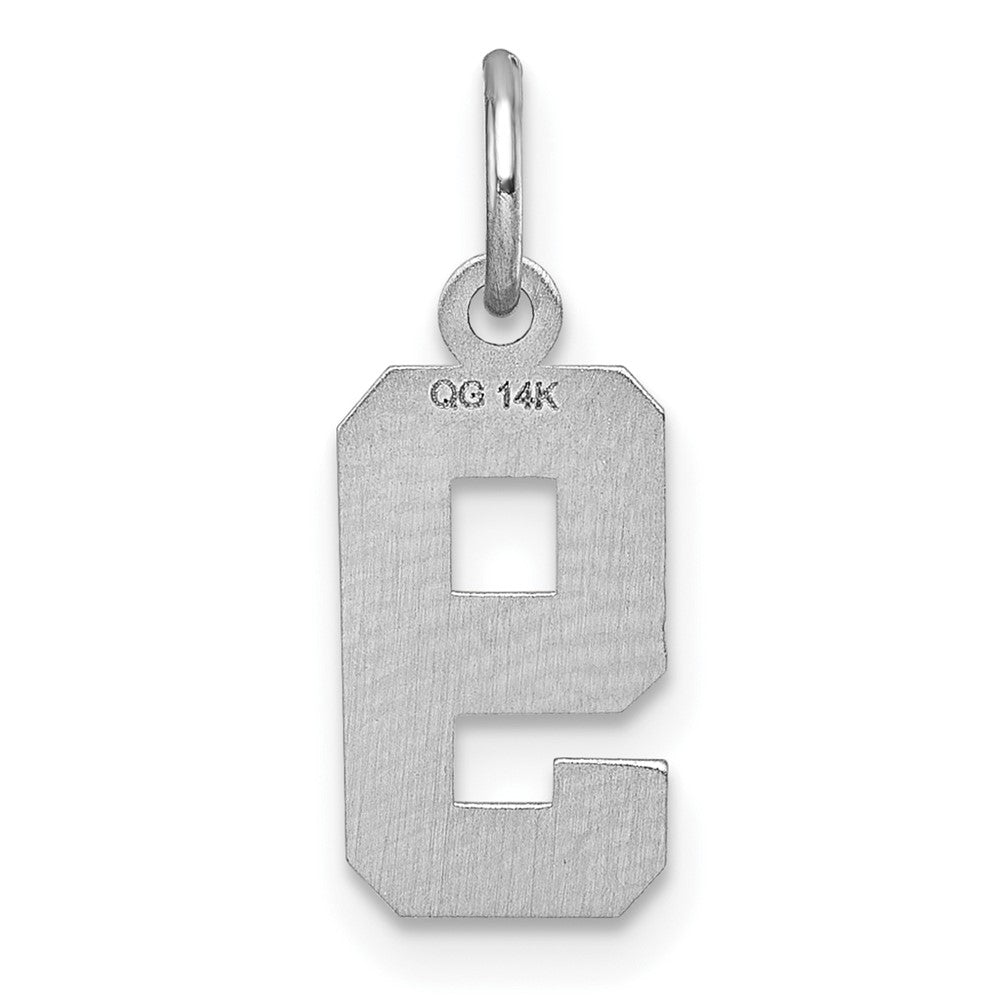 14K Weißgold 14kw Klein Gebürstet Diamantiert Zahl 9 Charm