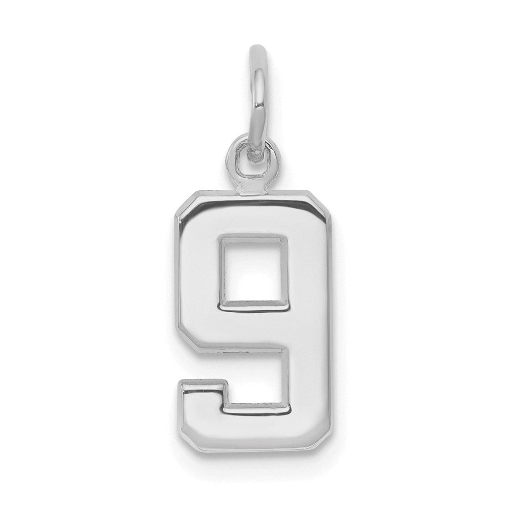 14K Weißgold 14kw Klein Poliert Zahl 9 Charm