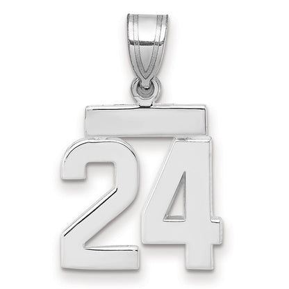 14K Weißgold kleiner polierter Charm „Zahl 24“