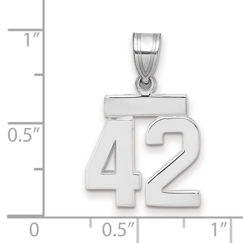 14k Weißgold Kleiner Polierter Charm Zahl 42