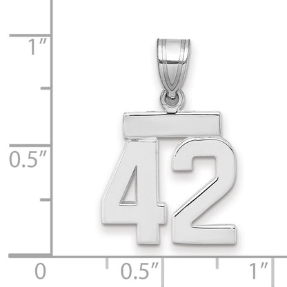 14k Weißgold Kleiner Polierter Charm Zahl 42