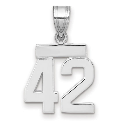 14k Weißgold Kleiner Polierter Charm Zahl 42