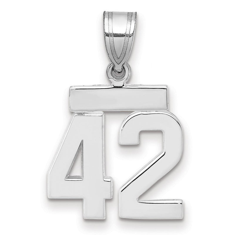 14k Weißgold Kleiner Polierter Charm Zahl 42