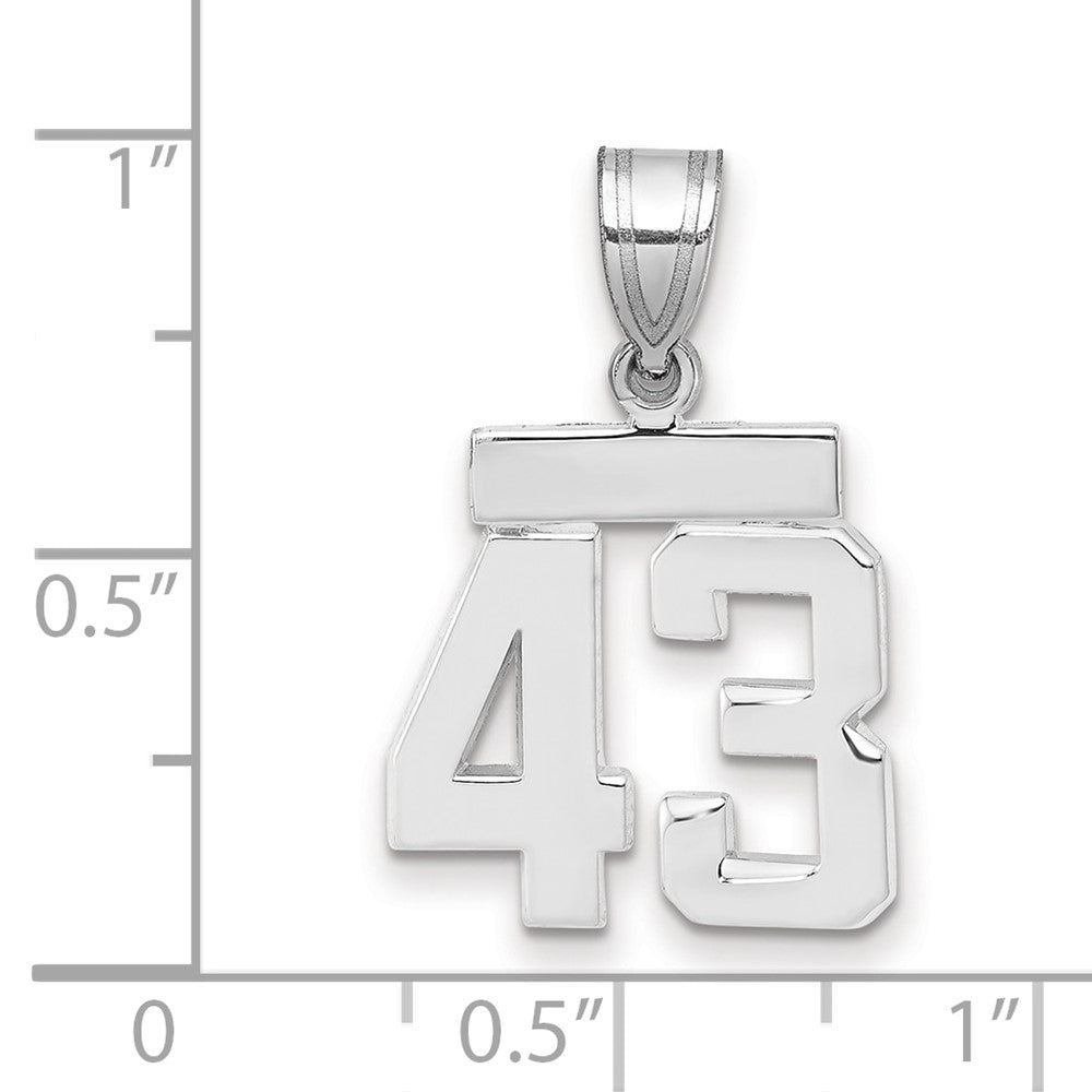 14K Weißgold kleiner polierter Zahlenanhänger „43