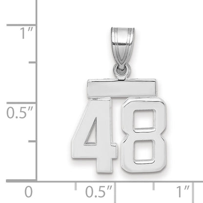 14K Weißgold kleiner polierter Zahl-48-Charm