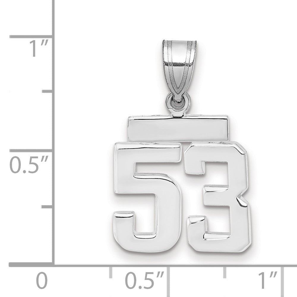 14K Weißgold kleiner polierter Zahlen-Charm „53“