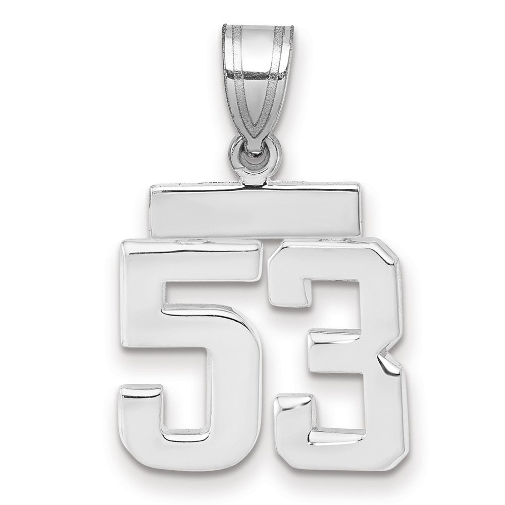 14K Weißgold kleiner polierter Zahlen-Charm „53“