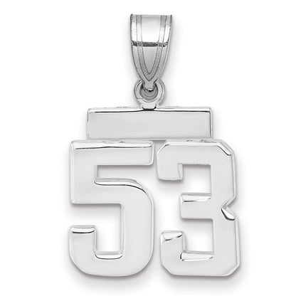 14K Weißgold kleiner polierter Zahlen-Charm „53“