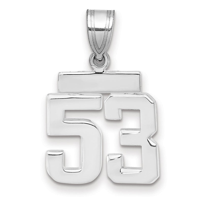 14K Weißgold kleiner polierter Zahlen-Charm „53“